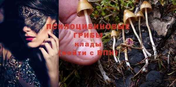 герыч Бородино