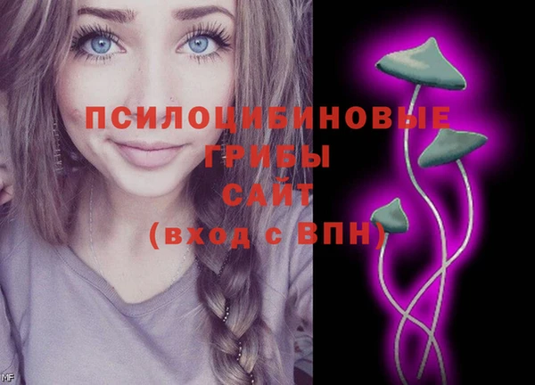 круглые Бронницы